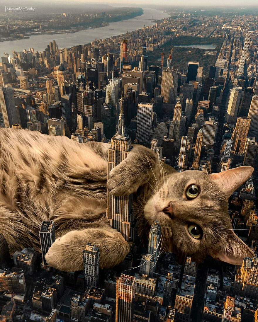 This Artist Uses Photoshop To Create Surreal Giant Cat Landscapes, Here Are His Best 30 Edits This Artist Uses Photoshop To Create Surreal Giant Cat Landscapes, Here Are His Best 30 Edits
