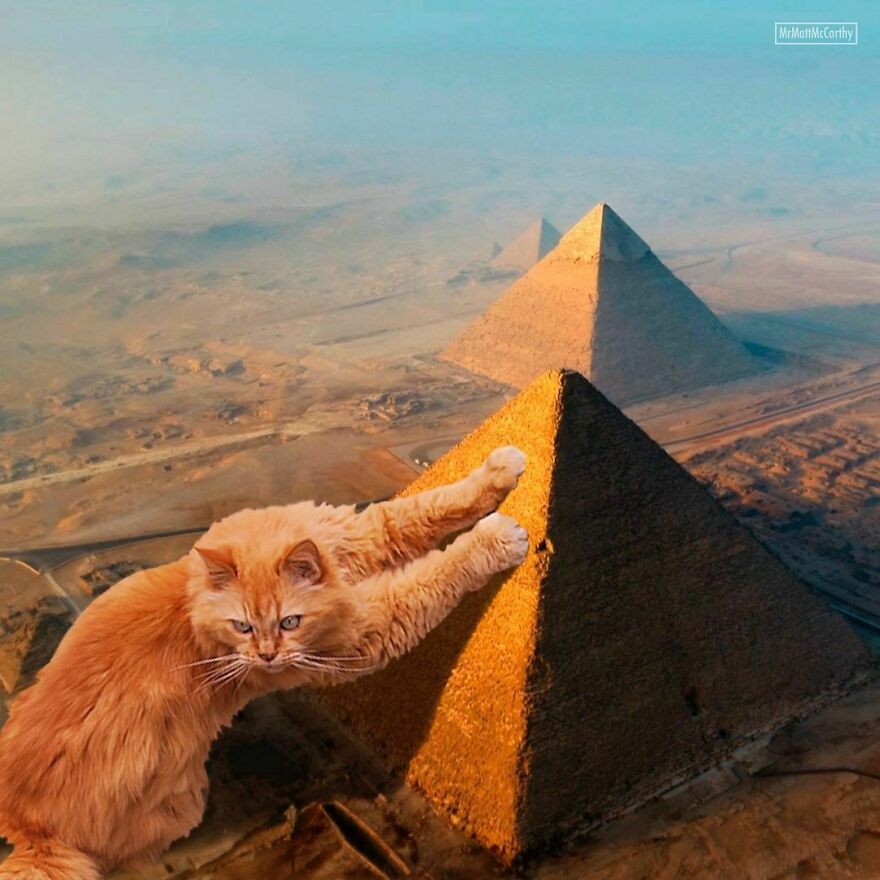 This Artist Uses Photoshop To Create Surreal Giant Cat Landscapes, Here Are His Best 30 Edits This Artist Uses Photoshop To Create Surreal Giant Cat Landscapes, Here Are His Best 30 Edits