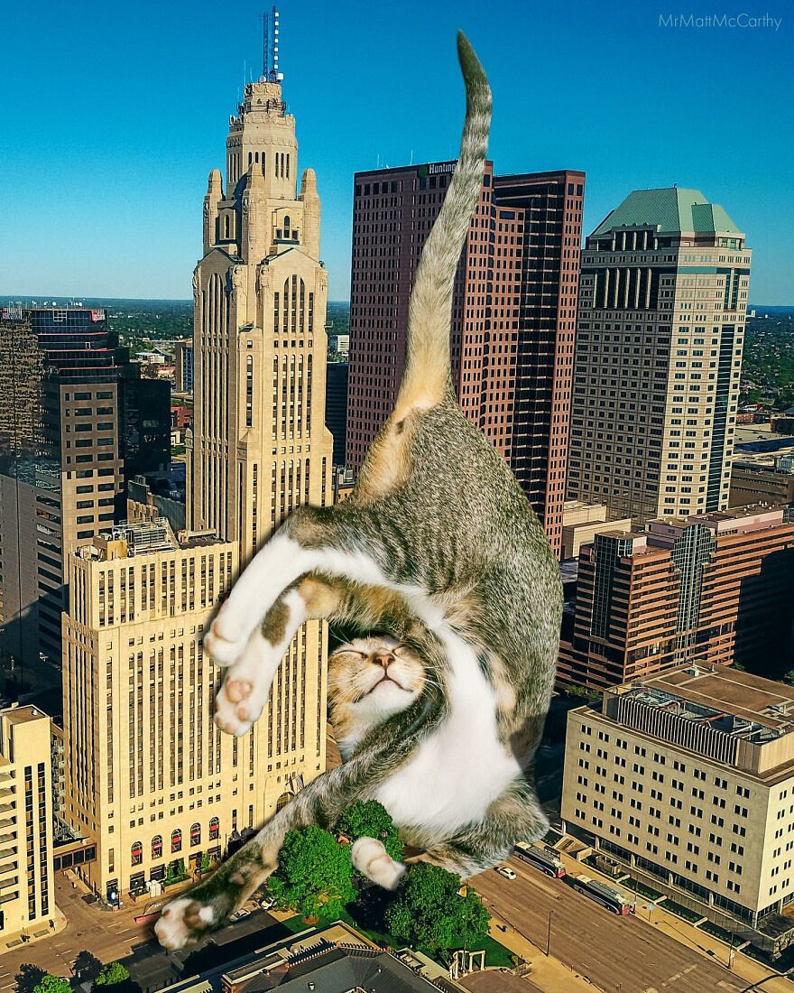 This Artist Uses Photoshop To Create Surreal Giant Cat Landscapes, Here Are His Best 30 Edits This Artist Uses Photoshop To Create Surreal Giant Cat Landscapes, Here Are His Best 30 Edits