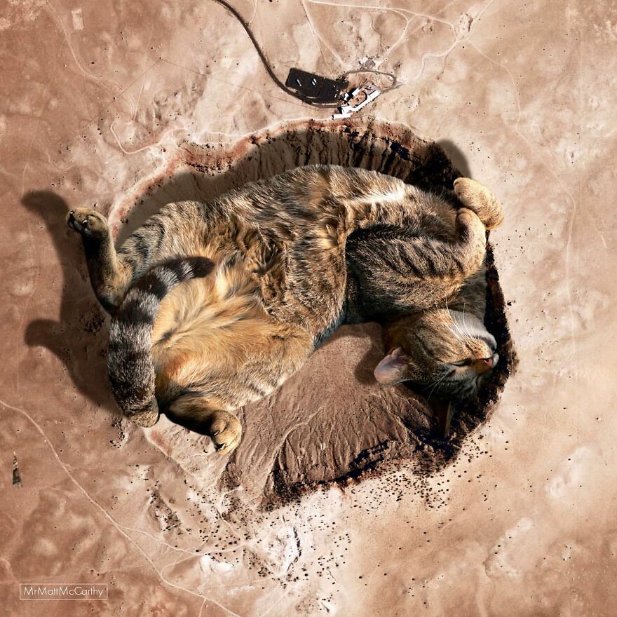 This Artist Uses Photoshop To Create Surreal Giant Cat Landscapes, Here Are His Best 30 Edits This Artist Uses Photoshop To Create Surreal Giant Cat Landscapes, Here Are His Best 30 Edits