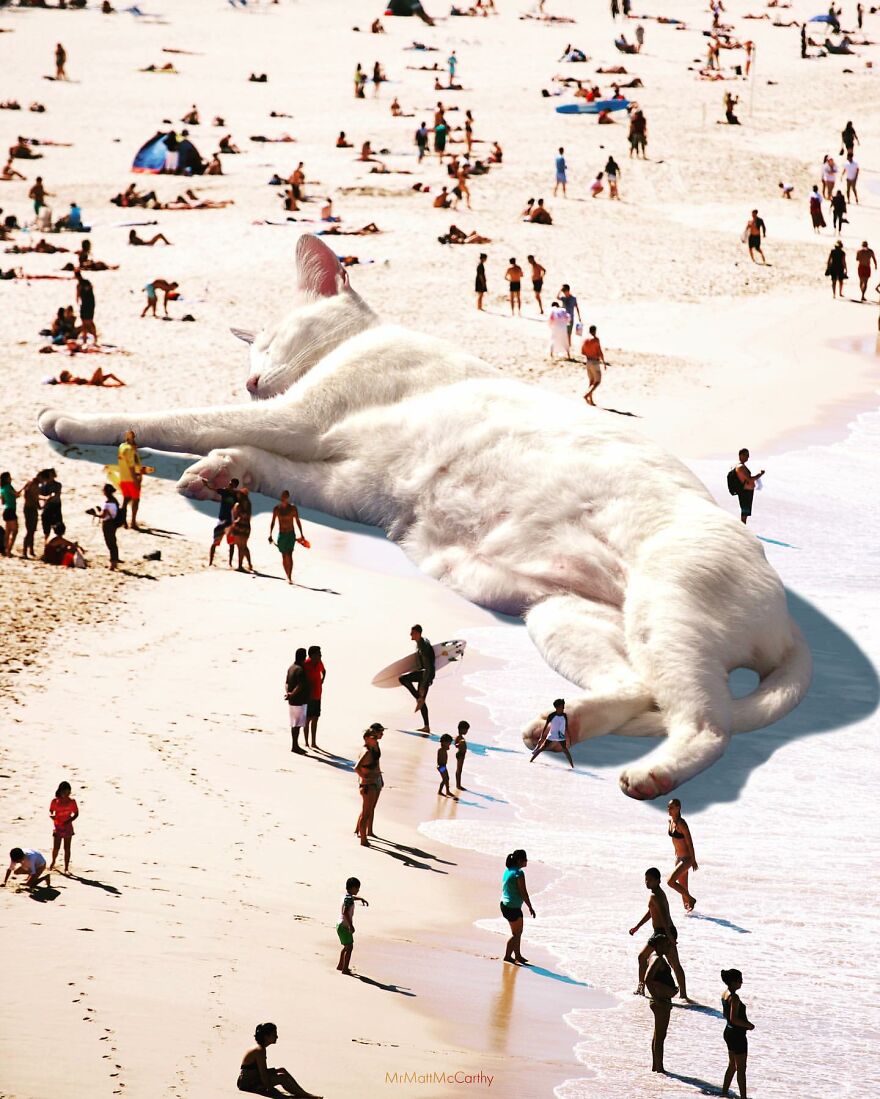 This Artist Uses Photoshop To Create Surreal Giant Cat Landscapes, Here Are His Best 30 Edits This Artist Uses Photoshop To Create Surreal Giant Cat Landscapes, Here Are His Best 30 Edits