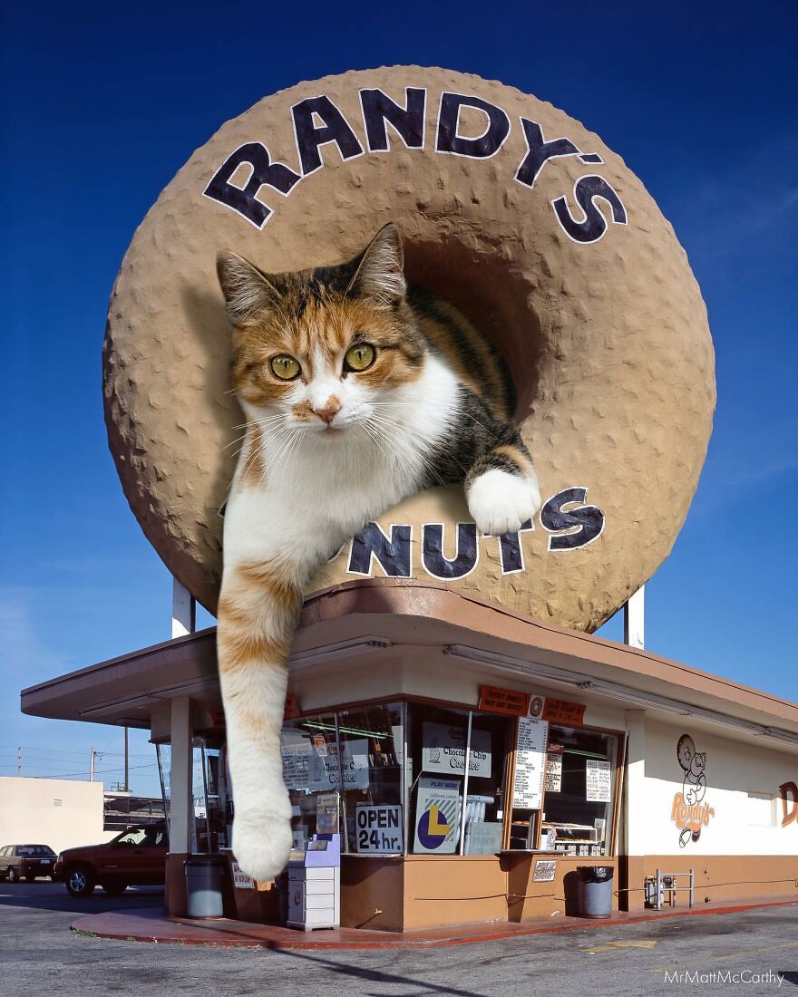 This Artist Uses Photoshop To Create Surreal Giant Cat Landscapes, Here Are His Best 30 Edits This Artist Uses Photoshop To Create Surreal Giant Cat Landscapes, Here Are His Best 30 Edits