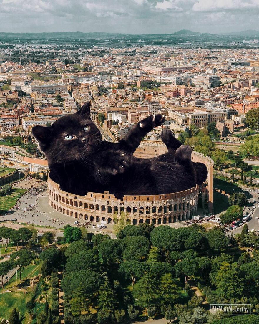 This Artist Uses Photoshop To Create Surreal Giant Cat Landscapes, Here Are His Best 30 Edits This Artist Uses Photoshop To Create Surreal Giant Cat Landscapes, Here Are His Best 30 Edits