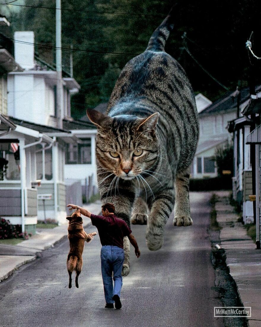 This Artist Uses Photoshop To Create Surreal Giant Cat Landscapes, Here Are His Best 30 Edits