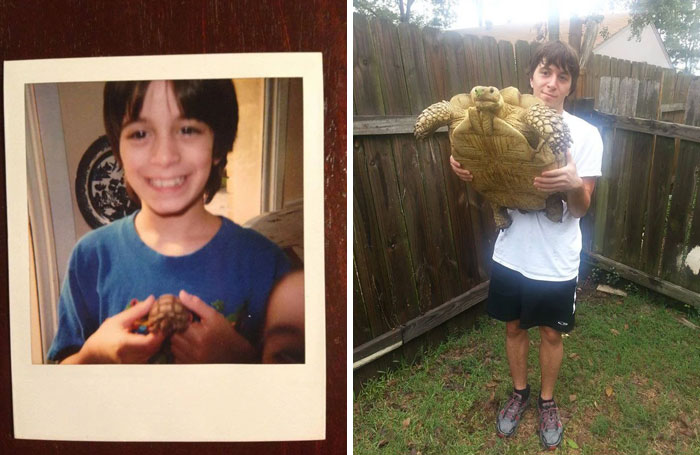 50 Interesting Comparison Images To Give You A New Perspective On Things 50 Interesting Comparison Images To Give You A New Perspective On Things