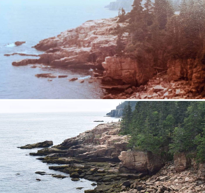 50 Interesting Comparison Images To Give You A New Perspective On Things 50 Interesting Comparison Images To Give You A New Perspective On Things