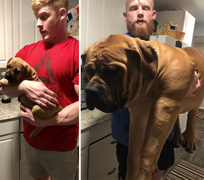 50 Interesting Comparison Images To Give You A New Perspective On Things 50 Interesting Comparison Images To Give You A New Perspective On Things