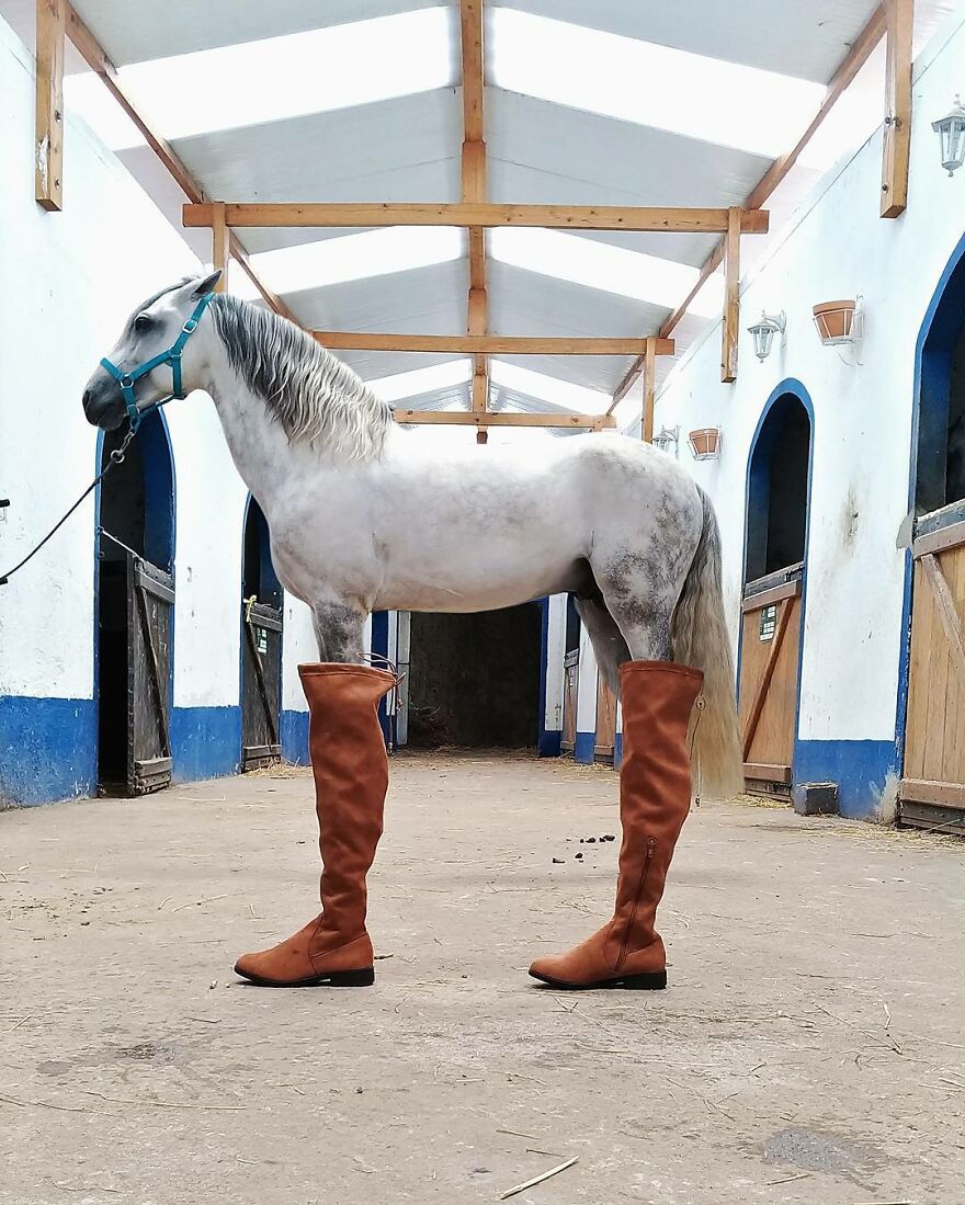 This Photographer Captured 40 Photographs Which Perfectly Show The Power Of Perspective This Photographer Captured 40 Photographs Which Perfectly Show The Power Of Perspective