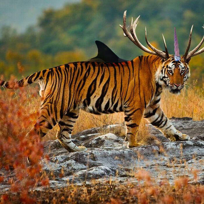 Hey Pandas, Create The Weirdest Animal Yet Using Photoshop (Closed) Hey Pandas, Create The Weirdest Animal Yet Using Photoshop (Closed)