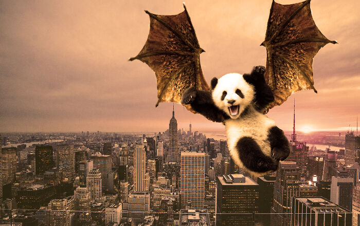 Hey Pandas, Create The Weirdest Animal Yet Using Photoshop (Closed) Hey Pandas, Create The Weirdest Animal Yet Using Photoshop (Closed)