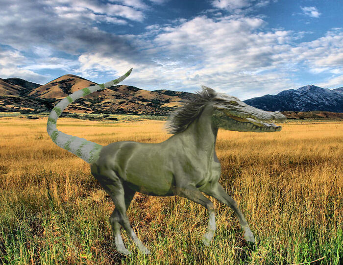 Hey Pandas, Create The Weirdest Animal Yet Using Photoshop (Closed) Hey Pandas, Create The Weirdest Animal Yet Using Photoshop (Closed)