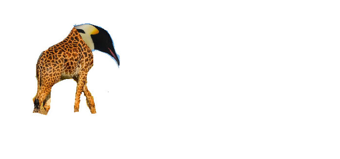 Hey Pandas, Create The Weirdest Animal Yet Using Photoshop (Closed) Hey Pandas, Create The Weirdest Animal Yet Using Photoshop (Closed)