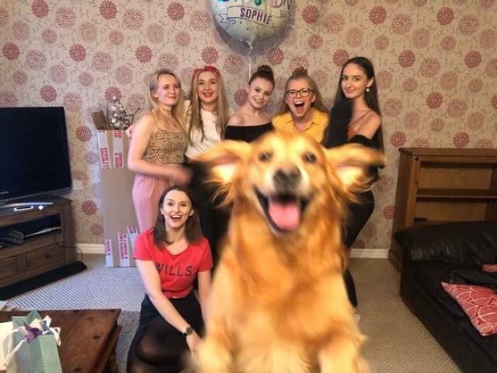 50 Times People Captured Such Perfectly Timed Pics, They Had To Celebrate It By Sharing Them Online 50 Times People Captured Such Perfectly Timed Pics, They Had To Celebrate It By Sharing Them Online