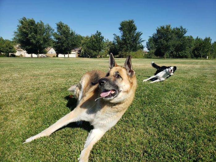 50 Times People Captured Such Perfectly Timed Pics, They Had To Celebrate It By Sharing Them Online 50 Times People Captured Such Perfectly Timed Pics, They Had To Celebrate It By Sharing Them Online