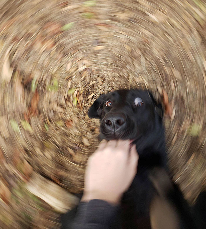 50 Times People Captured Such Perfectly Timed Pics, They Had To Celebrate It By Sharing Them Online 50 Times People Captured Such Perfectly Timed Pics, They Had To Celebrate It By Sharing Them Online