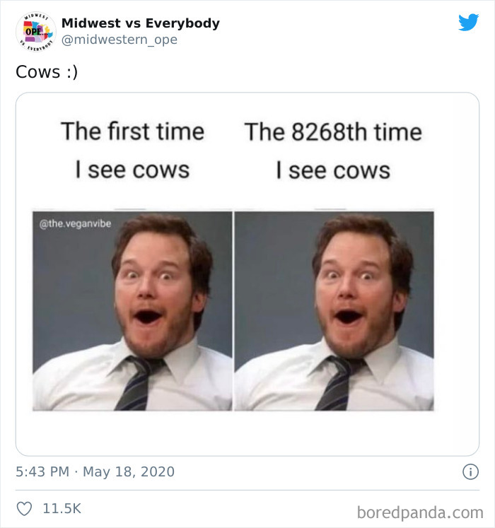 The Midwest Is A Whole Different Place, And This Account Sums It Up Perfectly (50 Pics) The Midwest Is A Whole Different Place, And This Account Sums It Up Perfectly (50 Pics)