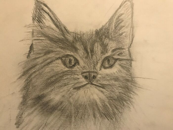 Hey Pandas, Draw The Best Image You Can (Closed)