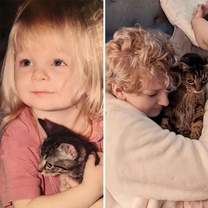 50 Before &#038; After Pics Of Tiny Kittens Turning Into Beautiful Cats (New Pics)