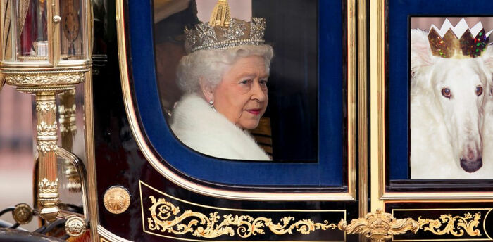 Hey Pandas, Photoshop This Dog Pic (Closed) Hey Pandas, Photoshop This Dog Pic (Closed)