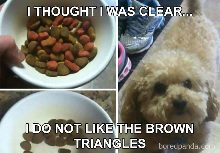 45 Jokes And Memes That Have Picky Eaters Feeling Called Out 45 Jokes And Memes That Have Picky Eaters Feeling Called Out