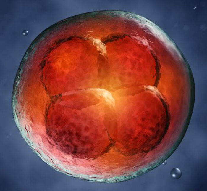 Hey Pandas, Show Us A Picture Of You When You Were Young (Closed) Hey Pandas, Show Us A Picture Of You When You Were Young (Closed)