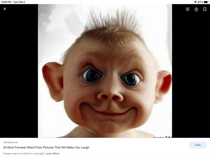 Hey Pandas, What Is A Photo You Found That You Can Only Respond To With “Wtf?” (Closed) Hey Pandas, What Is A Photo You Found That You Can Only Respond To With “Wtf?” (Closed)