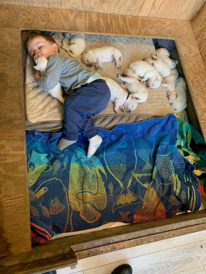 If You Don’t Think Your Kids Need A Dog After Seeing These Pics, You Must Be A Cat (New Pics) If You Don’t Think Your Kids Need A Dog After Seeing These Pics, You Must Be A Cat (New Pics)