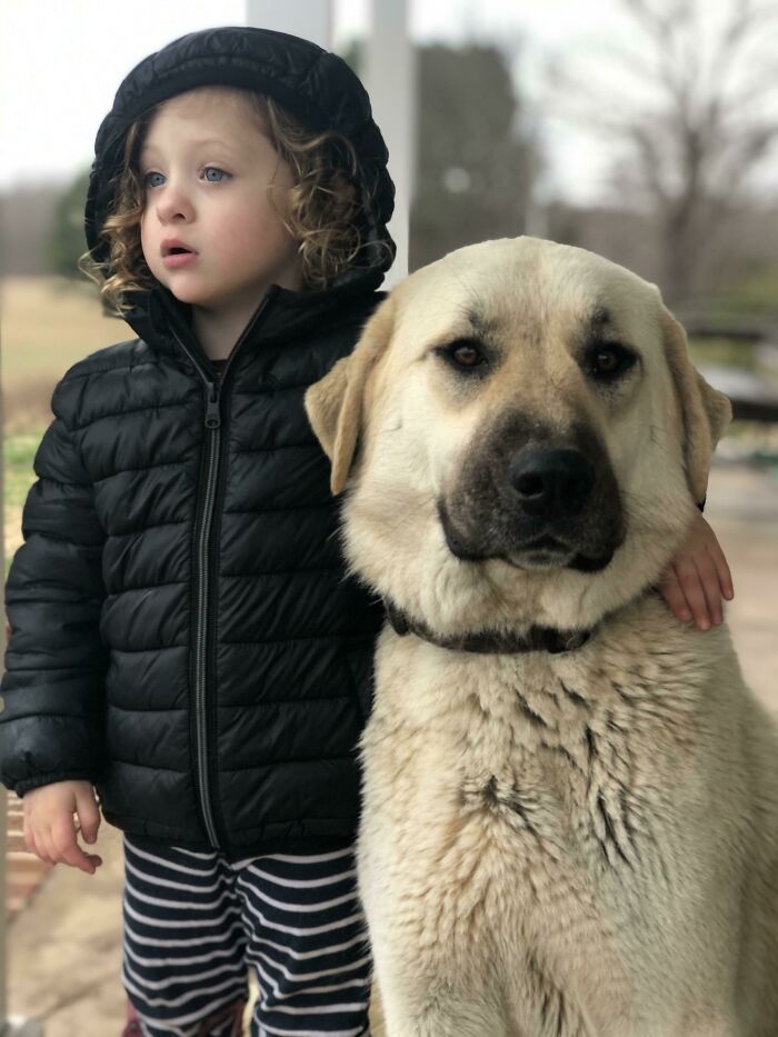 If You Don’t Think Your Kids Need A Dog After Seeing These Pics, You Must Be A Cat (New Pics) If You Don’t Think Your Kids Need A Dog After Seeing These Pics, You Must Be A Cat (New Pics)