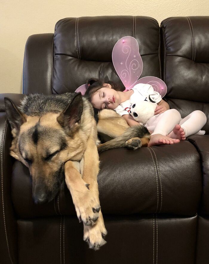 If You Don’t Think Your Kids Need A Dog After Seeing These Pics, You Must Be A Cat (New Pics) If You Don’t Think Your Kids Need A Dog After Seeing These Pics, You Must Be A Cat (New Pics)