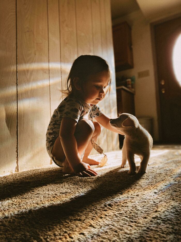 If You Don’t Think Your Kids Need A Dog After Seeing These Pics, You Must Be A Cat (New Pics) If You Don’t Think Your Kids Need A Dog After Seeing These Pics, You Must Be A Cat (New Pics)