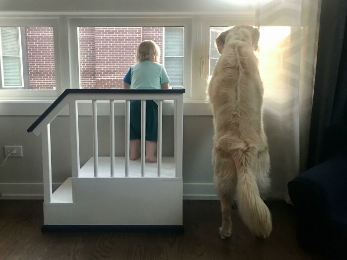 If You Don’t Think Your Kids Need A Dog After Seeing These Pics, You Must Be A Cat (New Pics) If You Don’t Think Your Kids Need A Dog After Seeing These Pics, You Must Be A Cat (New Pics)