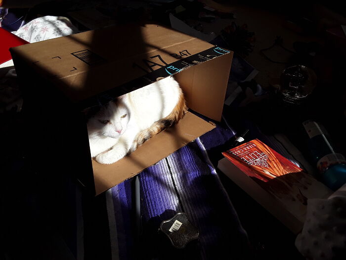 Hey Pandas, Post A Picture Of Your Pet When You First Got Them And Of Your Pet Now (Closed) Hey Pandas, Post A Picture Of Your Pet When You First Got Them And Of Your Pet Now (Closed)