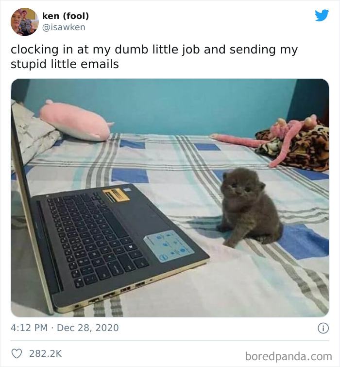 This Online Group Celebrates Kittens That Are ‘Illegally Smol’ And Here Are 50 Of The Most Adorable Pics This Online Group Celebrates Kittens That Are ‘Illegally Smol’ And Here Are 50 Of The Most Adorable Pics