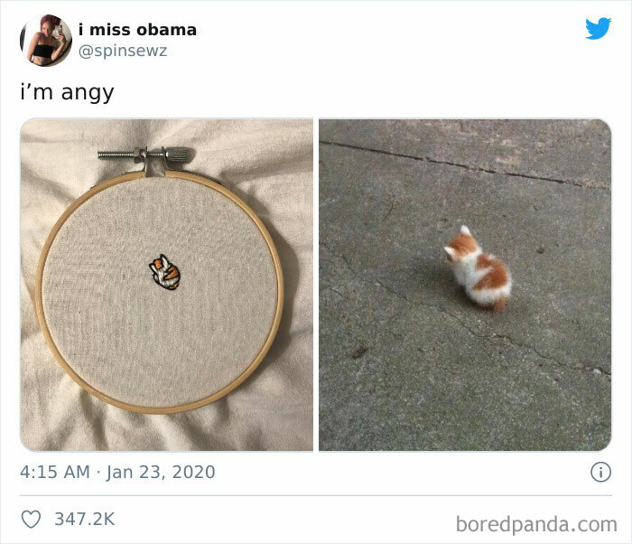 This Online Group Celebrates Kittens That Are ‘Illegally Smol’ And Here Are 50 Of The Most Adorable Pics This Online Group Celebrates Kittens That Are ‘Illegally Smol’ And Here Are 50 Of The Most Adorable Pics