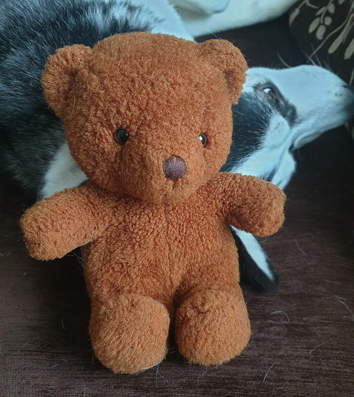 Hey Pandas, Post A Picture Of The Stuffed Animal You Loved Growing Up (Closed) Hey Pandas, Post A Picture Of The Stuffed Animal You Loved Growing Up (Closed)
