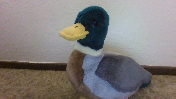 Hey Pandas, Post A Picture Of The Stuffed Animal You Loved Growing Up (Closed) Hey Pandas, Post A Picture Of The Stuffed Animal You Loved Growing Up (Closed)