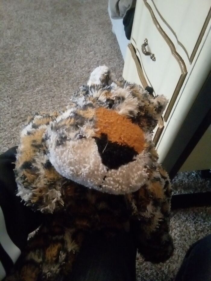 Hey Pandas, Post A Picture Of The Stuffed Animal You Loved Growing Up (Closed) Hey Pandas, Post A Picture Of The Stuffed Animal You Loved Growing Up (Closed)