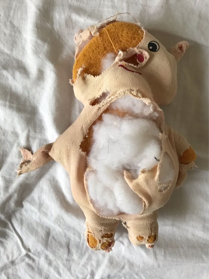 Hey Pandas, Post A Picture Of The Stuffed Animal You Loved Growing Up (Closed) Hey Pandas, Post A Picture Of The Stuffed Animal You Loved Growing Up (Closed)