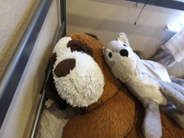 Hey Pandas, Post A Picture Of The Stuffed Animal You Loved Growing Up (Closed) Hey Pandas, Post A Picture Of The Stuffed Animal You Loved Growing Up (Closed)