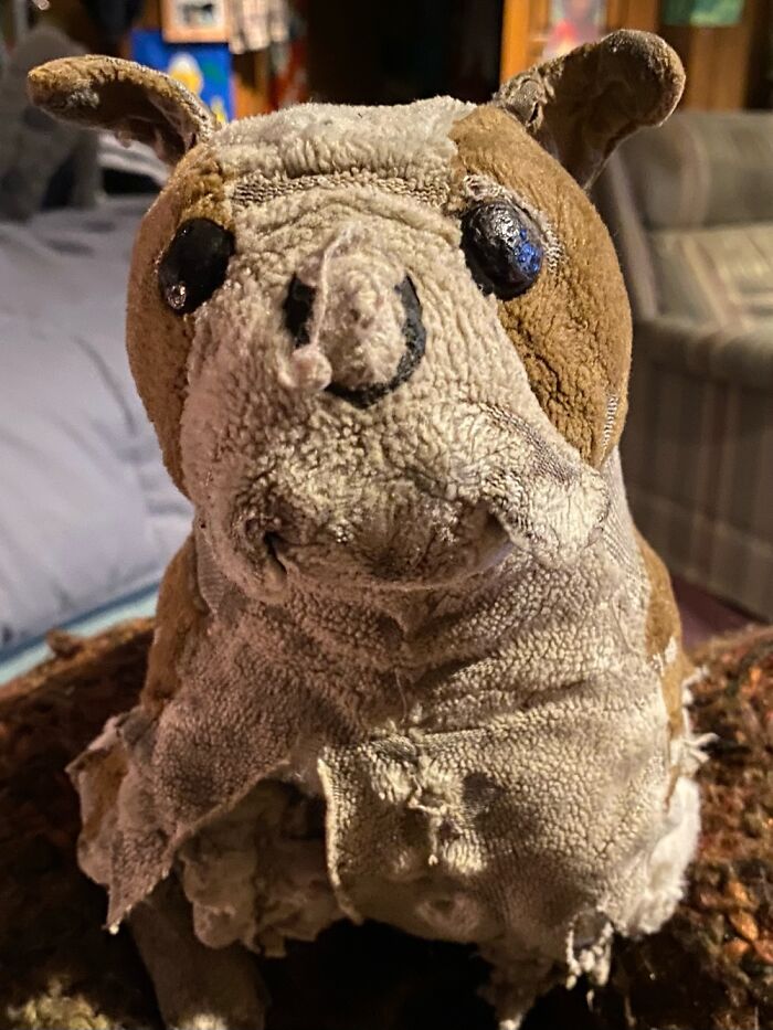 Hey Pandas, Post A Picture Of The Stuffed Animal You Loved Growing Up (Closed) Hey Pandas, Post A Picture Of The Stuffed Animal You Loved Growing Up (Closed)