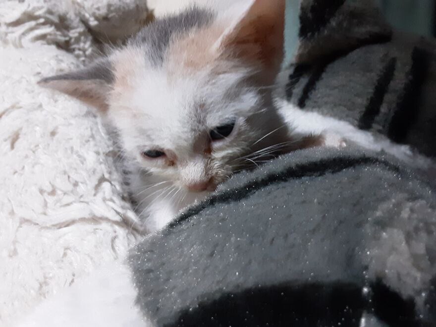 Hey Pandas, Show Us Your Pets And What They’re Named After Hey Pandas, Show Us Your Pets And What They’re Named After