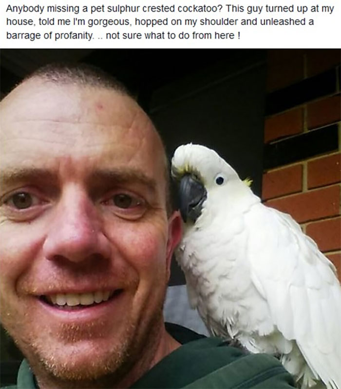 Australia Is A Whole Different World, And These 50 Photos Are Here To Prove It Australia Is A Whole Different World, And These 50 Photos Are Here To Prove It