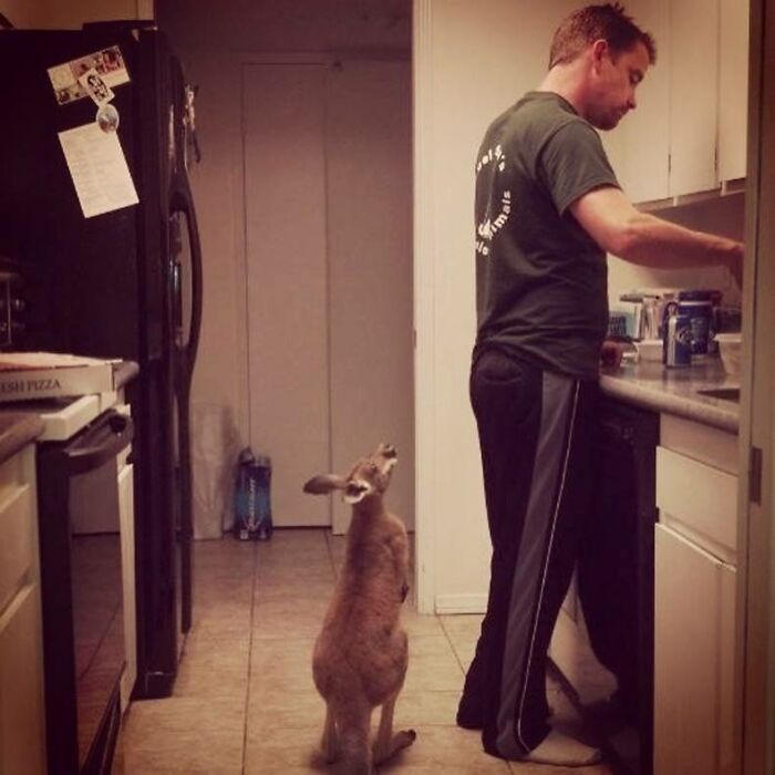 Australia Is A Whole Different World, And These 50 Photos Are Here To Prove It Australia Is A Whole Different World, And These 50 Photos Are Here To Prove It