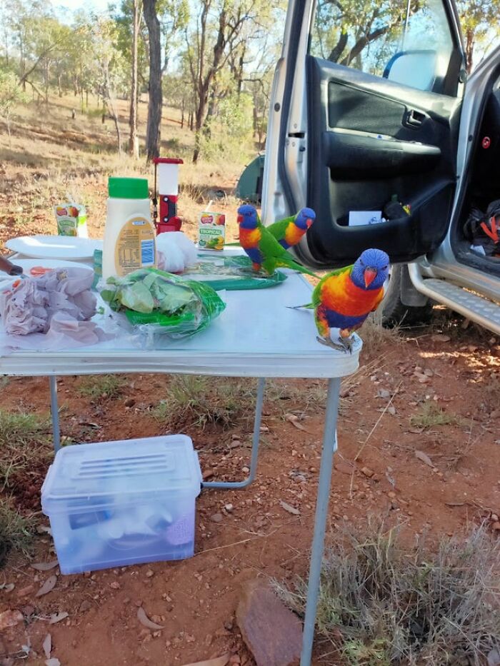 Australia Is A Whole Different World, And These 50 Photos Are Here To Prove It Australia Is A Whole Different World, And These 50 Photos Are Here To Prove It