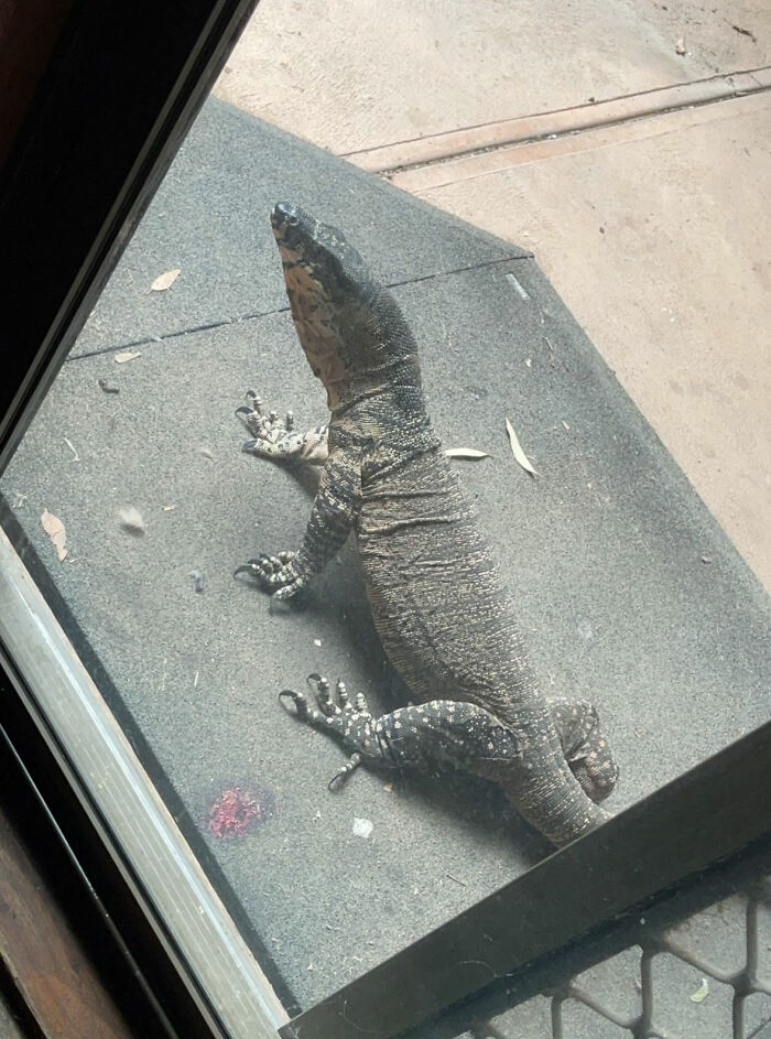 Australia Is A Whole Different World, And These 50 Photos Are Here To Prove It Australia Is A Whole Different World, And These 50 Photos Are Here To Prove It