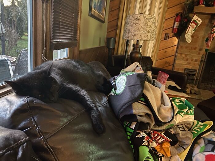 Hey Pandas, Show Us The Photo Of Your Pet That Makes You Laugh Every Single Time You See It (Closed) Hey Pandas, Show Us The Photo Of Your Pet That Makes You Laugh Every Single Time You See It (Closed)