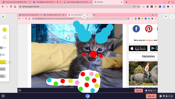 Hey Pandas, Make This Cat Happy Again By Photoshoping It (Closed) Hey Pandas, Make This Cat Happy Again By Photoshoping It (Closed)