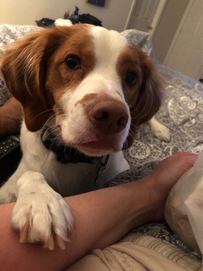 Hey Pandas, Show Us What Your Pet Is Doing Right Now (Closed) Hey Pandas, Show Us What Your Pet Is Doing Right Now (Closed)