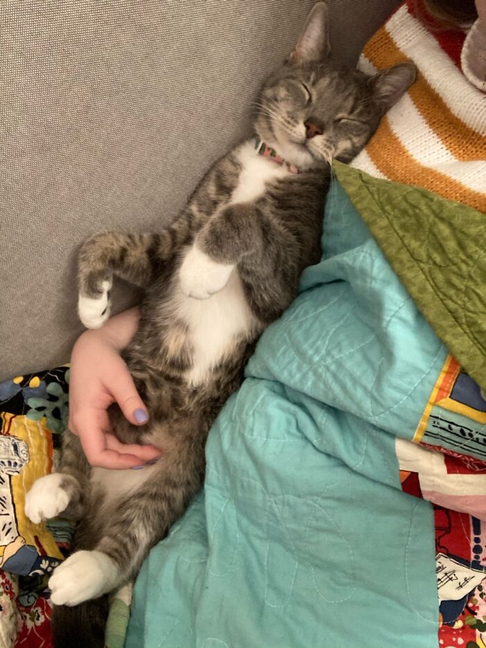 Hey Pandas, Show Us What Your Pet Is Doing Right Now (Closed) Hey Pandas, Show Us What Your Pet Is Doing Right Now (Closed)