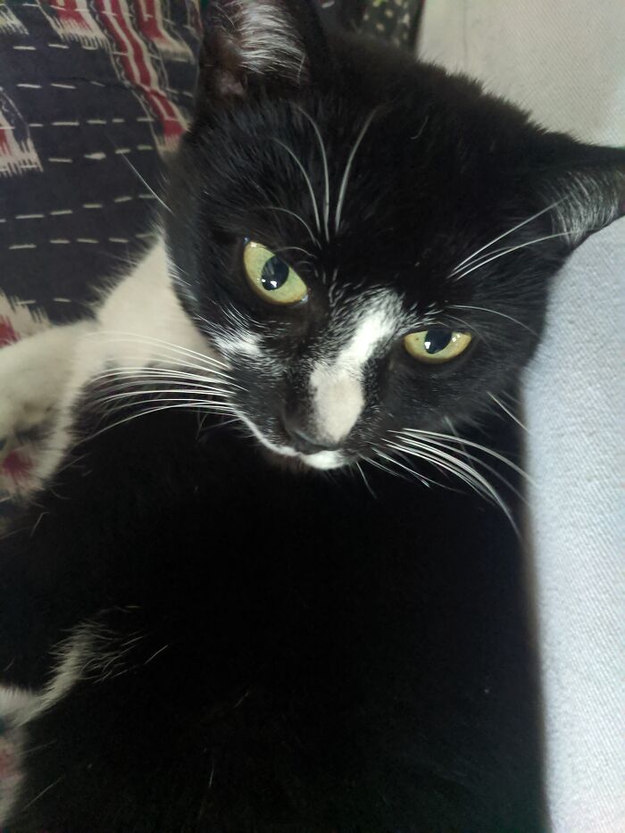 Hey Pandas, Show Us What Your Pet Is Doing Right Now (Closed) Hey Pandas, Show Us What Your Pet Is Doing Right Now (Closed)